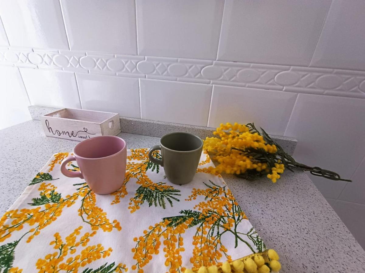 Mimosa Home タラベラ・デ・ラ・レイナ エクステリア 写真