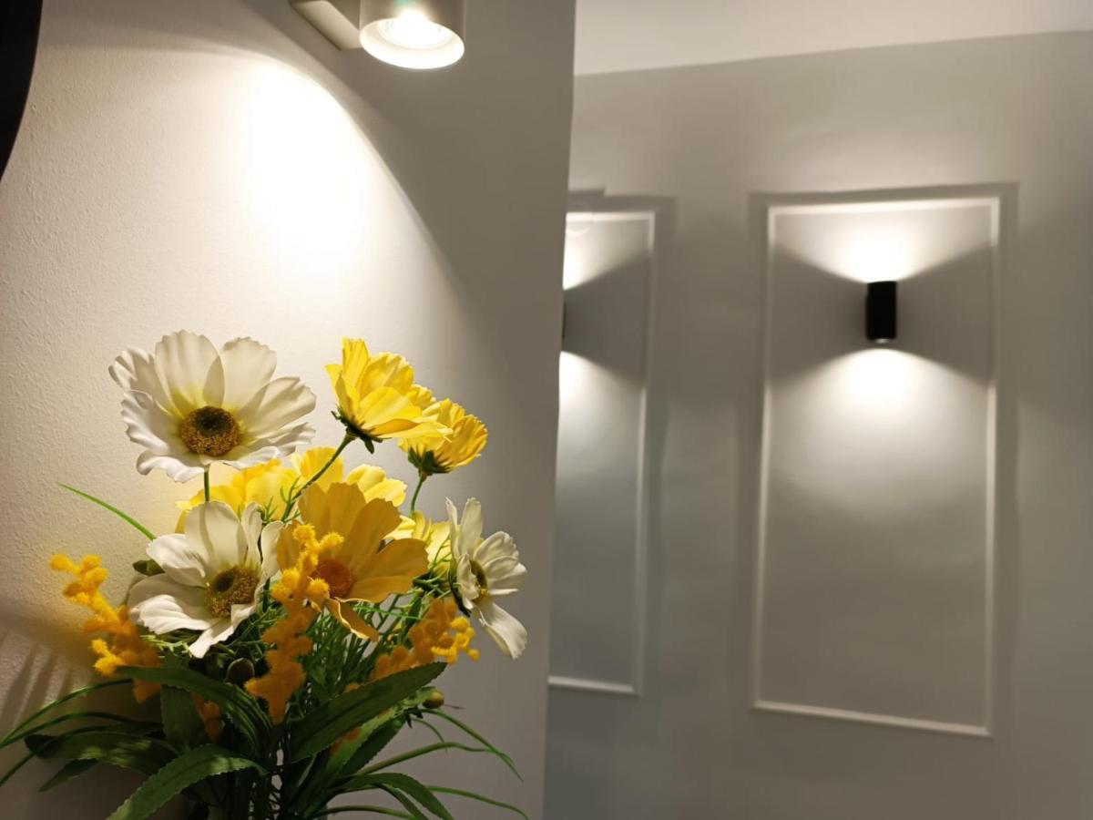 Mimosa Home タラベラ・デ・ラ・レイナ エクステリア 写真